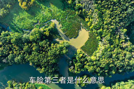 車險(xiǎn)第三者什么意思，車險(xiǎn)第三者是什么意思