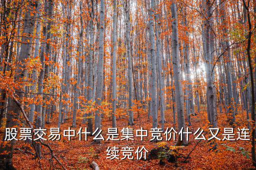集合競價是什么意思，股票交易中什么是集中競價什么又是連續(xù)競價