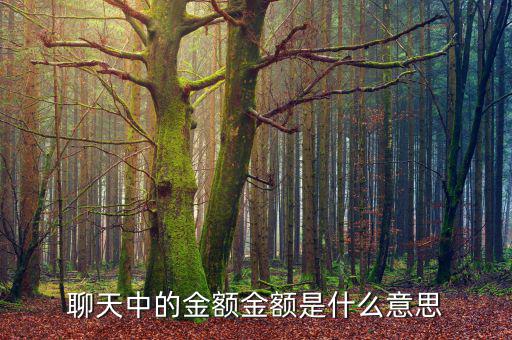 金額是什么意思，什么叫金額