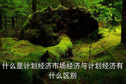 什么是市場經(jīng)濟(jì)和計(jì)劃經(jīng)濟(jì)，什么叫市場經(jīng)濟(jì)