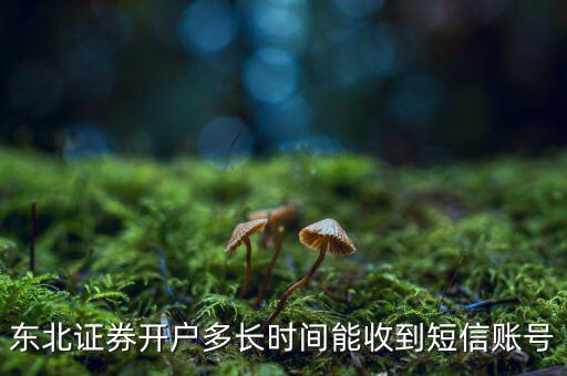 東北證券開戶多長時(shí)間能收到短信賬號