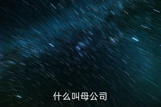 財(cái)務(wù)報(bào)告中母公司是什么意思，財(cái)務(wù)報(bào)表中的合并與母公司是什么意思