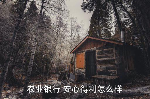 農業(yè)銀行 安心得利怎么樣