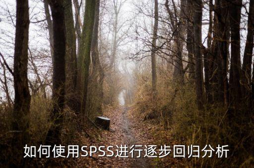 逐步回歸用什么軟件，關(guān)于spss相關(guān)分析和逐步回歸分析之間的一些疑問