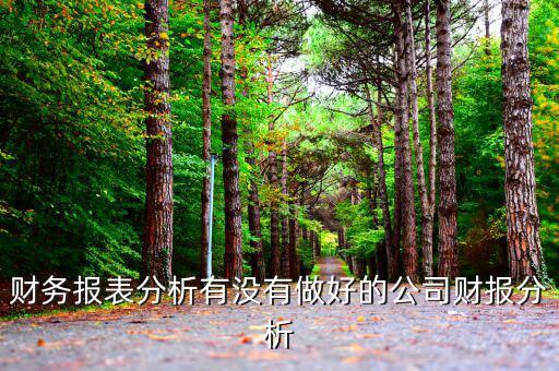 初學(xué)者財(cái)務(wù)分析分析什么公司，投資公司財(cái)務(wù)分析范文