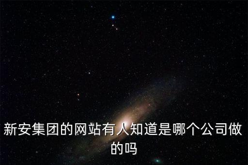 新安股份做什么的，新安集團(tuán)的網(wǎng)站有人知道是哪個公司做的嗎