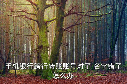 外匯名字不對怎么處理,如何在網(wǎng)上購物和理財(cái)?