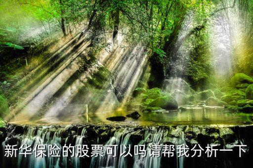 新華保險為什么股票漲這么多，新華保險的股票可以嗎請幫我分析一下