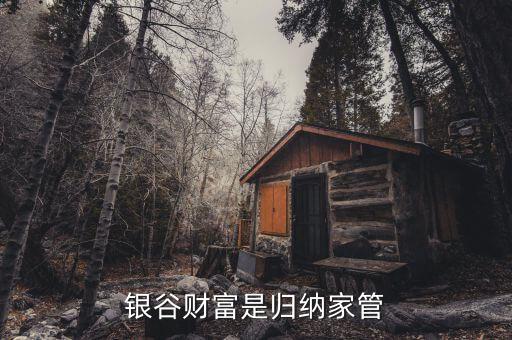 國家對銀谷財(cái)富是什么整策，銀谷財(cái)富是歸納家管