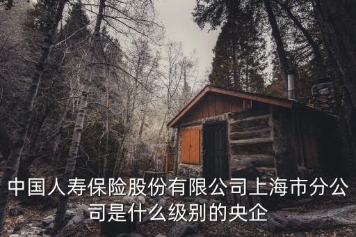 市屬國(guó)企是什么級(jí)別，省屬和市屬企業(yè)的界定標(biāo)準(zhǔn)是什么