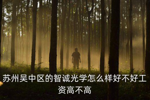 智誠(chéng)光學(xué)里面主要生產(chǎn)什么，蘇州智誠(chéng)光學(xué)公司怎么樣