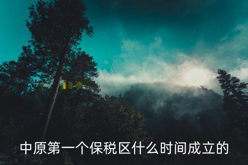 新泰保稅區(qū)什么時間投建，中原第一個保稅區(qū)什么時間成立的
