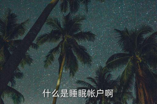 什么是睡眠賬戶，什么是睡眠帳戶啊