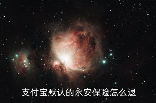 支付寶賬戶(hù)安全險(xiǎn)怎么取消