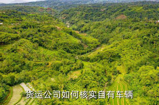 貨運資產(chǎn)是什么意思，貨運公司如何核實自有車輛