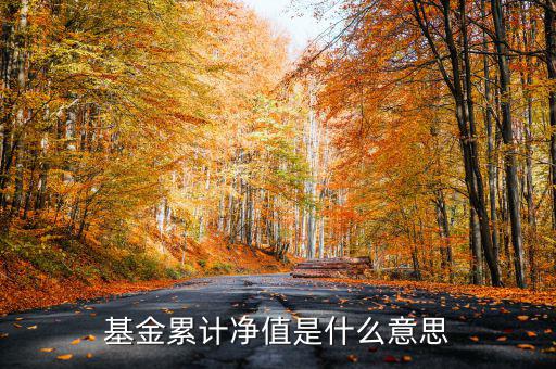 基金累計凈值是什么意思，基金凈值累計凈值各指什么