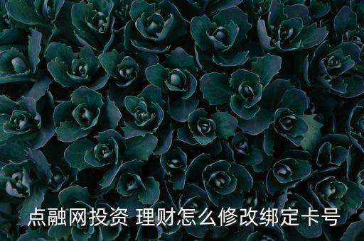 點(diǎn)融網(wǎng)理財(cái)怎么玩,剩下一萬(wàn)個(gè)理財(cái)項(xiàng)目你愿意投嗎?
