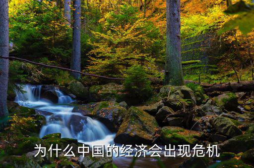 為什么中國將發(fā)生經(jīng)濟危機，中國為什么會面臨經(jīng)濟危機