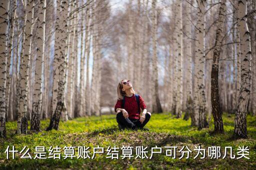 什么是結算賬戶結算賬戶可分為哪幾類