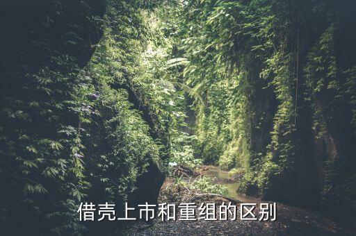 什么是借殼重組，下殺就買怕什么借殼重組什么概念
