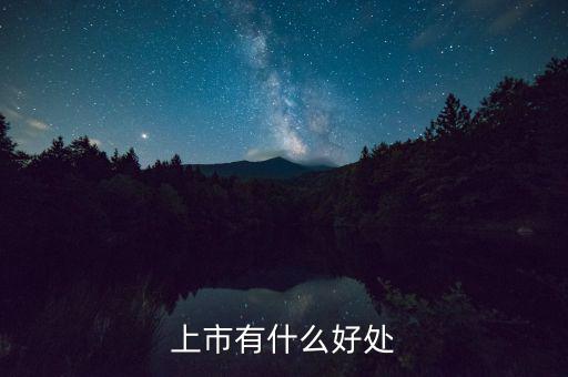 上市有什么好處，上市公司有什么好處