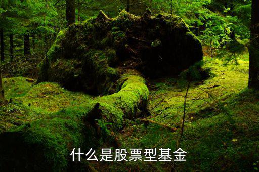什么是權重股票基金，什么是股票型基金
