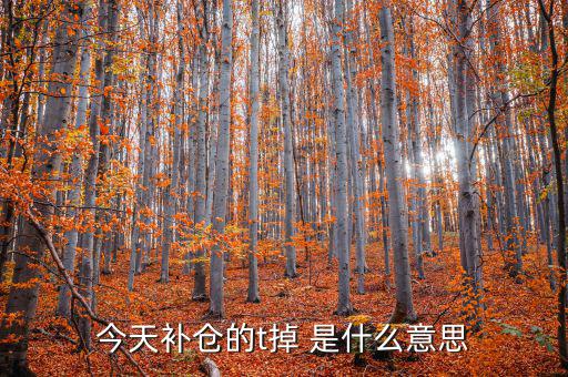 補倉做t是什么意思，利空打壓補倉做t0什么意思
