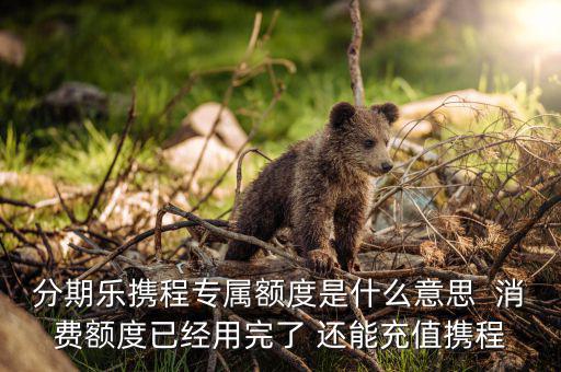 分期樂消費(fèi)額度是什么意思，分期樂免息額度是什么意思