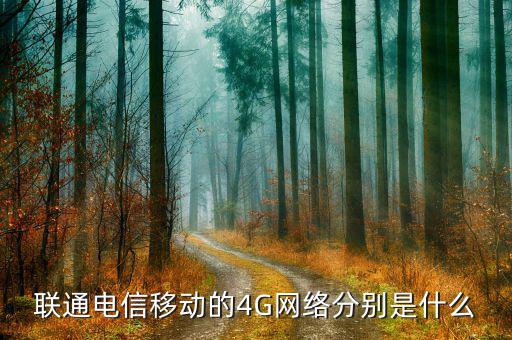 聯(lián)通混合組網(wǎng)什么意思，為什么我的聯(lián)通卡顯示H是什么意思