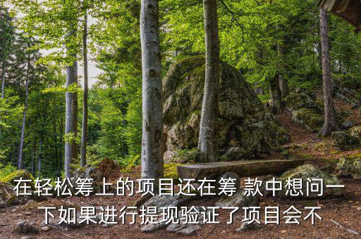 輕松籌提現(xiàn)有什么審核，輕松籌審核條件