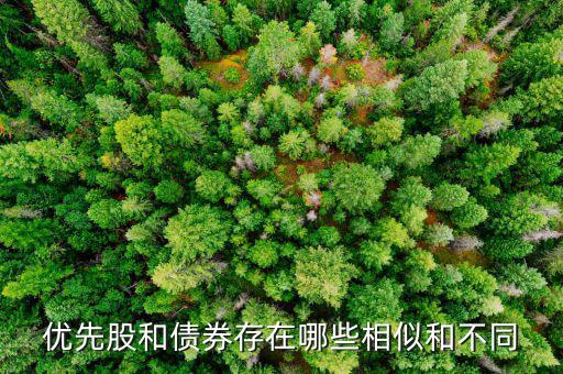 境外優(yōu)先股是什么，優(yōu)先股試點是什么說的詳細(xì)點