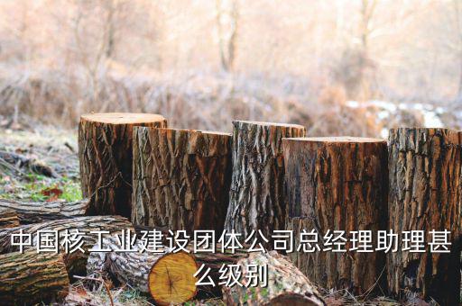 中國核工業(yè)集團(tuán)什么級別，中國核工業(yè)建設(shè)團(tuán)體公司總經(jīng)理助理甚么級別