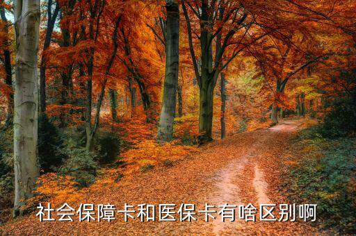 社會保障卡和醫(yī)?？ㄓ猩秴^(qū)別啊