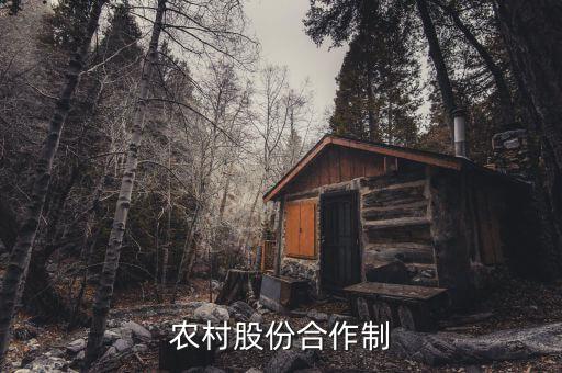什么是農(nóng)民股份合作，什么叫農(nóng)村經(jīng)濟合作股份制