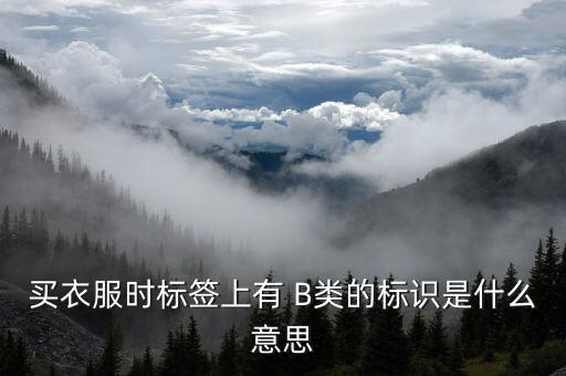 有色b是什么，買衣服時標簽上有 B類的標識是什么意思