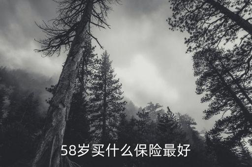 58歲女性做什么保險(xiǎn)，58歲女性可以辦哪些保險(xiǎn)啊