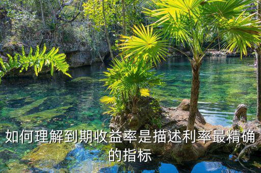衡量利率最精確的指標(biāo)通常是什么，什么是一個(gè)很好的債券利率風(fēng)險(xiǎn)衡量指標(biāo)