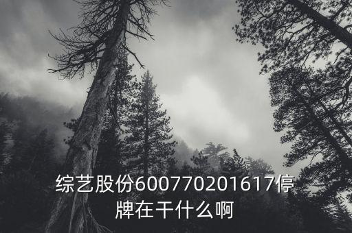 綜藝股份旗下有什么彩票業(yè)務，擬訂單包括啥類目直充彩票都是虛擬業(yè)務