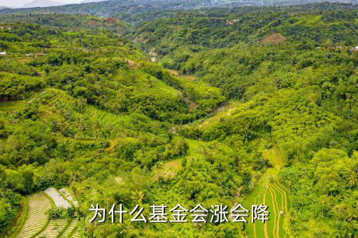 基金為什么會(huì)漲跌，基金有漲有落的原因