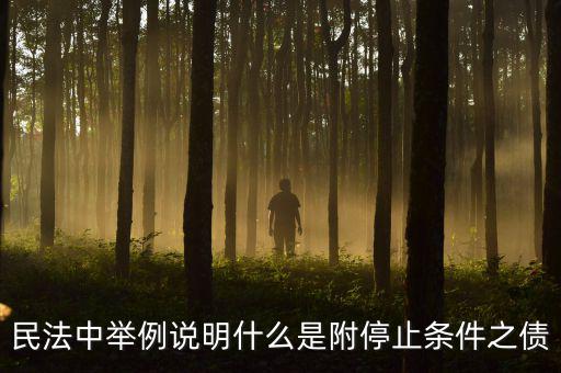 附停止條件的合同是什么意思，請教一下 怎么理解附條件和附期限合同啊 最好舉個例子 萬分感謝  搜