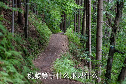 稅款等于什么乘以什么
