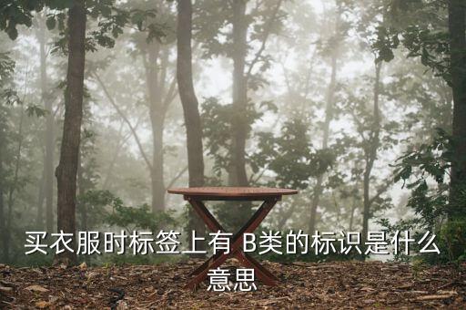 買(mǎi)衣服時(shí)標(biāo)簽上有 B類(lèi)的標(biāo)識(shí)是什么意思