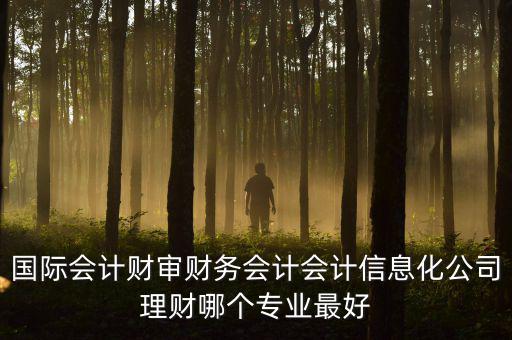 國際會計財審財務會計會計信息化公司理財哪個專業(yè)最好