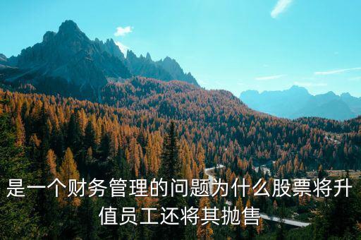為什么要拋售股票，是一個(gè)財(cái)務(wù)管理的問(wèn)題為什么股票將升值員工還將其拋售