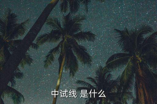 中試線是什么意思，中試線 是什么
