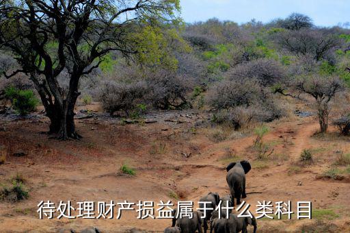 待財(cái)產(chǎn)處理?yè)p益是什么類科目，待處理財(cái)產(chǎn)損益屬于哪一類科目