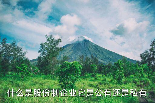 什么是單一鉬鐵生產(chǎn)企業(yè)，誰了解北京鉬都國際投資公司