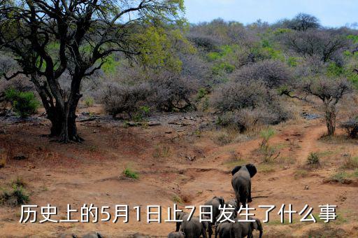 史上5月1日發(fā)生了什么，歷史上的5月1日止7日發(fā)生了什么事