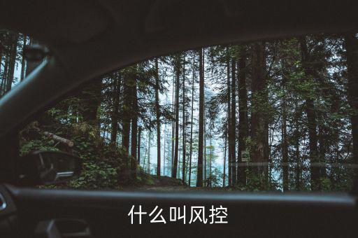 易到風(fēng)控什么意思，什么叫風(fēng)控