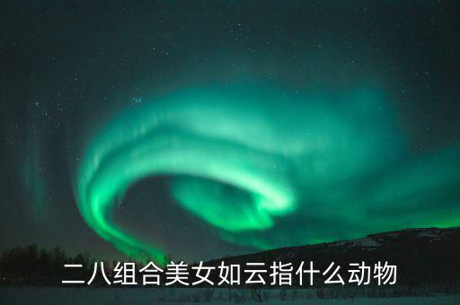 二八組合是什么意思，二八是什么意思